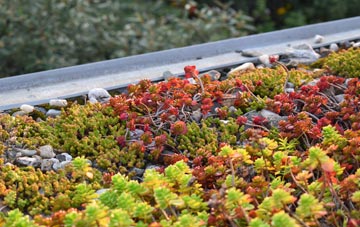 the cost of Holdingham green roof installation
